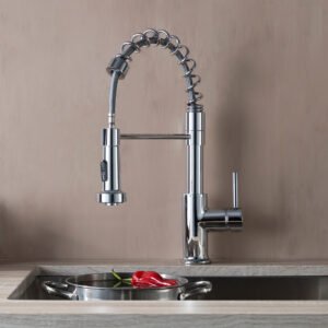 Single Handle Pull Out Kitchen Faucet Chrome F01 205 01