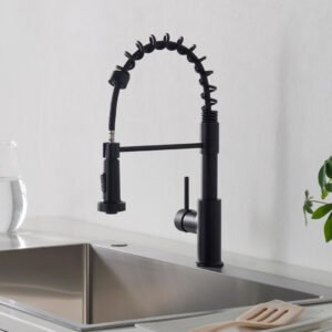 Single Handle Pull Out Kitchen Faucet Matte Black F01 205 04