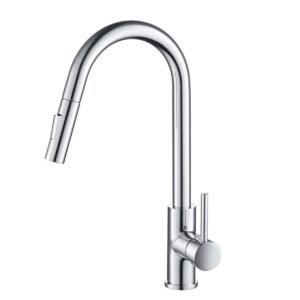 Single Handle Pull Down Kitchen Faucet Chrome F01 206 01