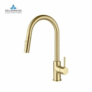 Single Handle Pull Down Kitchen Faucet Brush Gold F01 206 06