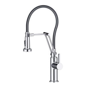Single Handle Pull Out Kitchen Faucet Chrome F01 208 01