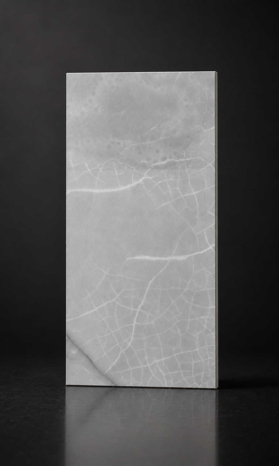 Aldo Grey 12x24 Polished Porcelain Tile