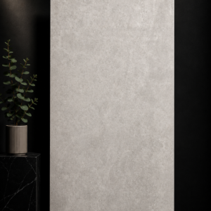 ARK SILVER 24x48 Matte