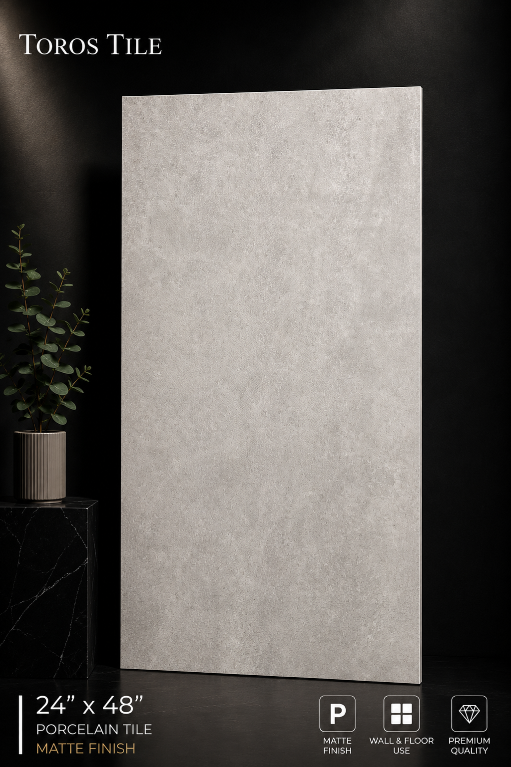 ARK SILVER 24x48 Matte
