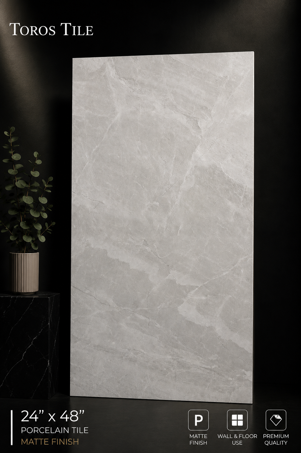 IMPRESSIVE SILVER 24x48 Matte