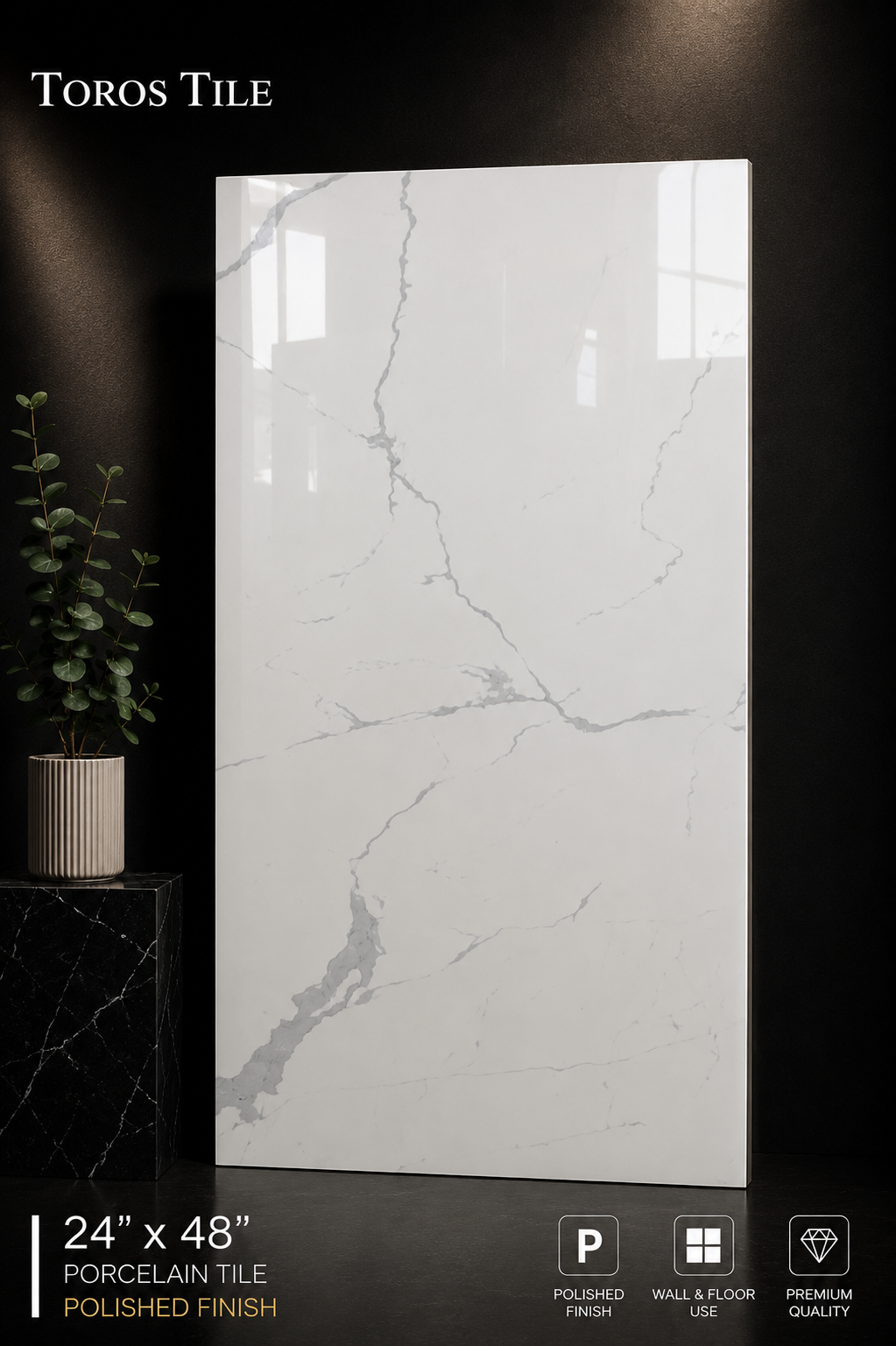 Satvario Quantum 24x48 Polished Porcelain Tile