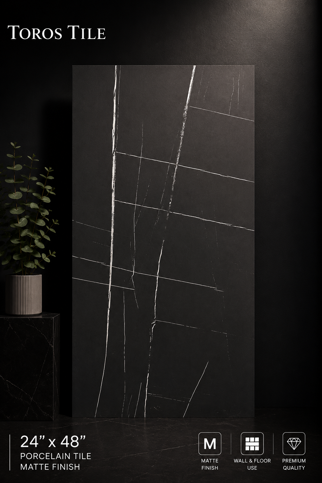 SPIDER BLACK 24x48 Matte