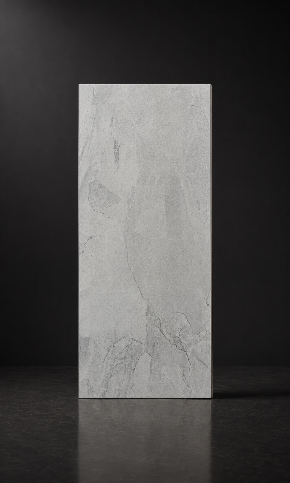 Fordo Light Grey 12x24 Polished Porcelain