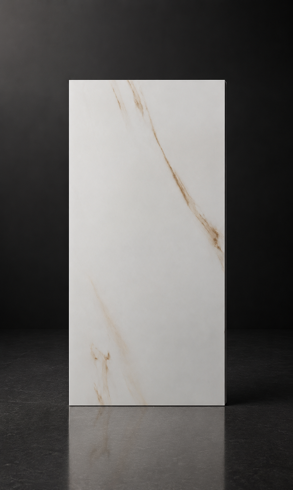 White Gold 12x24 Polished Porcelain Tile